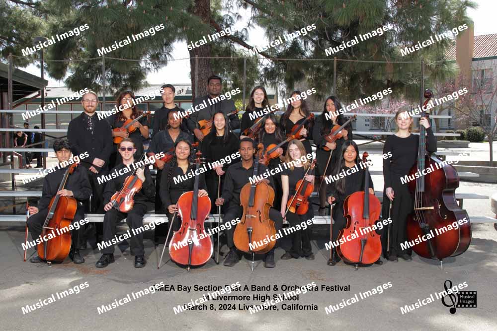Musical Images